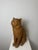 Montelupo Fiorentino Tuscan Artist, Sculpture of a Seated Cat, 19th Century, Terracotta For Sale - Image 9 of 18