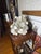 Unusual Shell Flower Arrangement For Sale - Image 9 of 10