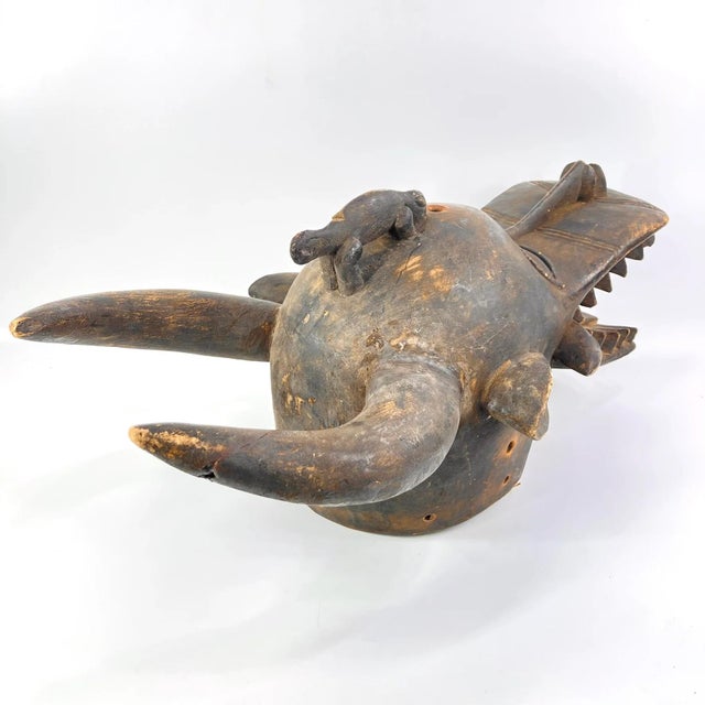 African Early 20th Century Senufo Firespitter Helmet Mask Côte d'Ivoire For Sale - Image 3 of 9