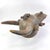African Early 20th Century Senufo Firespitter Helmet Mask Côte d'Ivoire For Sale - Image 3 of 9