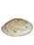 White Vintage Polished Shell Caviar Footed Serving Dish Plate For Sale - Image 8 of 12