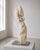 Contemporary Anatomy of Flight Sculpture in Felted Wool and Metal by Tina Tictone For Sale - Image 3 of 9