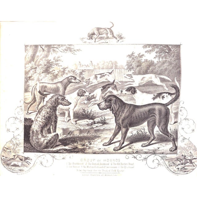 "The Book of Field Sports and Library of Veterinary Knowledge: Volumes I & Ii" 1870 Miles, Henry Downes [Edited By] For Sale - Image 13 of 18