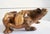 Large Wooden Frogs Figurine, 1920s For Sale - Image 3 of 17