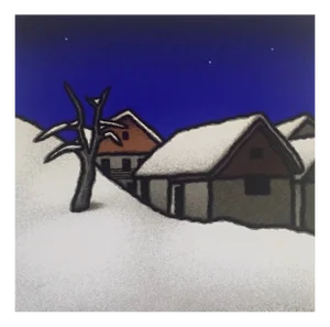 Seconda neve, 1995 Tino Stefanoni