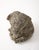 Cast Stone Elephant Garden Statue, France Mid 20th C. For Sale - Image 10 of 12