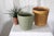 A very large and rare Haeger planter in a sage or dusty green. Impressive size that is hard to find and large enough for a...