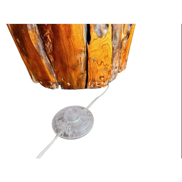 Late 20th Century Monumental Teak Root Floor Lamp With Burmese Silk Shade For Sale - Image 12 of 17