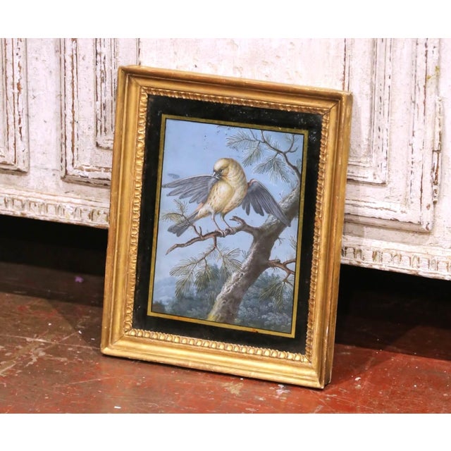 19th Century French Fixé Sous Verre Bird Painting in Giltwood Frame. Decorate a study, powder room, or gallery wall with...