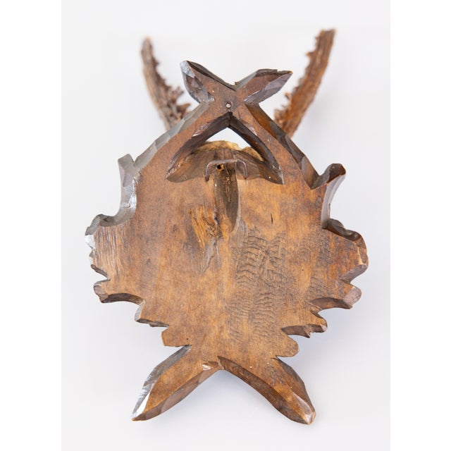 Antique Black Forest Roe Deer Antlers Hunting Trophy Mount For Sale In Houston - Image 6 of 7
