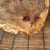 Wood Hand Carved Natural Solid Burl Wood Tree Root Bowl Basket With Handle For Sale - Image 7 of 9