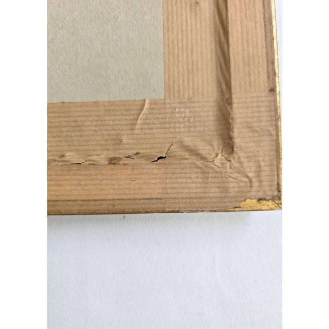 After W. Hart & HC Richter, Thalurania Refulgens and Hylonympha Macrocerca, 1800s, Hand-Colored Lithographs, Set of 2 For Sale - Image 12 of 18