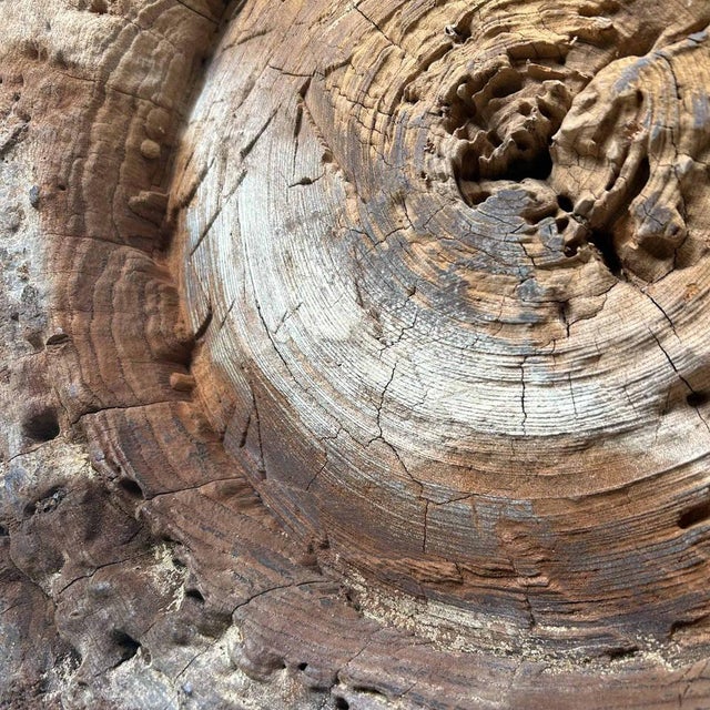 Late Meiji Japanese Mochi-Pounding Pestle, 1890s For Sale - Image 18 of 18