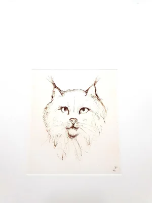 Leonor Fini - Cat - Original Etching 1985