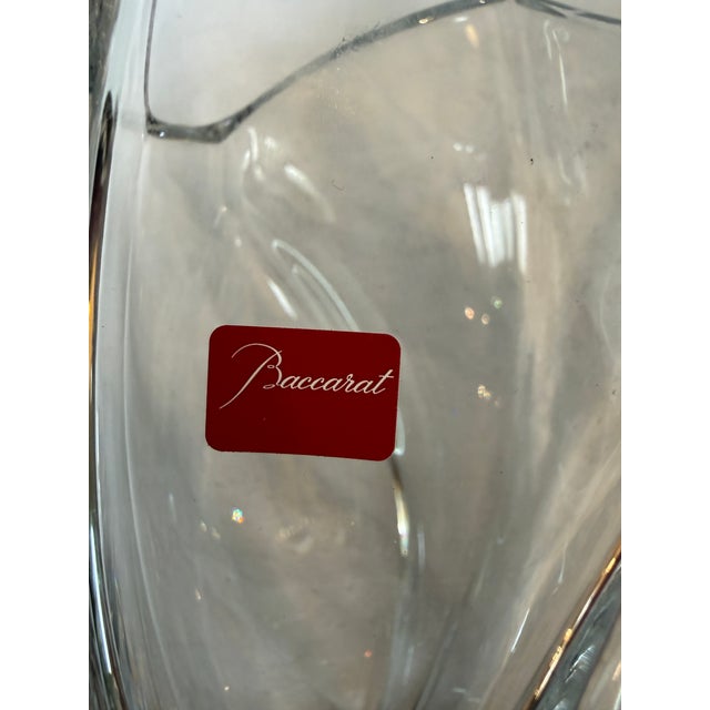 Baccarat Giverny Vase With Box For Sale In San Francisco - Image 6 of 12