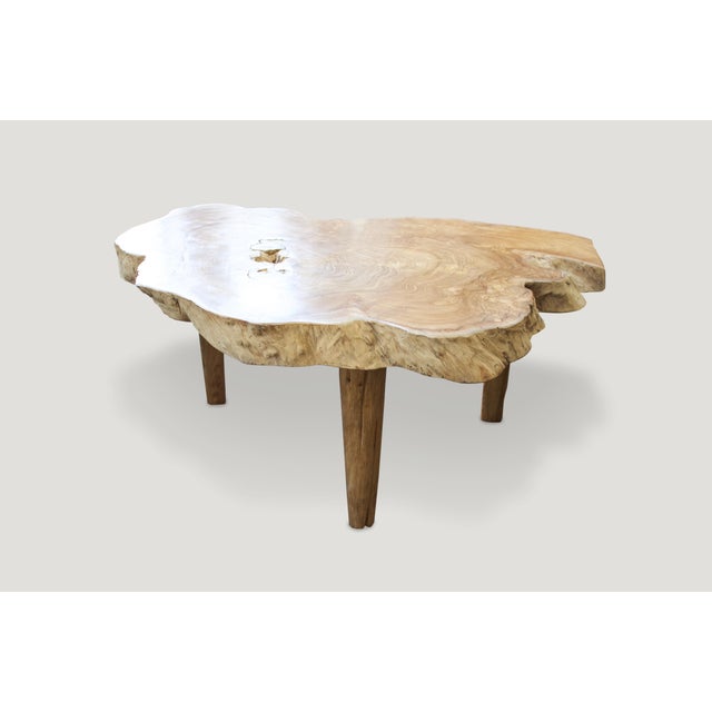 Andrianna Shamaris Single Slab Live Edge Coffee Table or Side Table For Sale - Image 4 of 18
