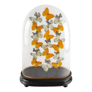Lemonade by Hasharat Art Deco Butterfly Composition For Sale