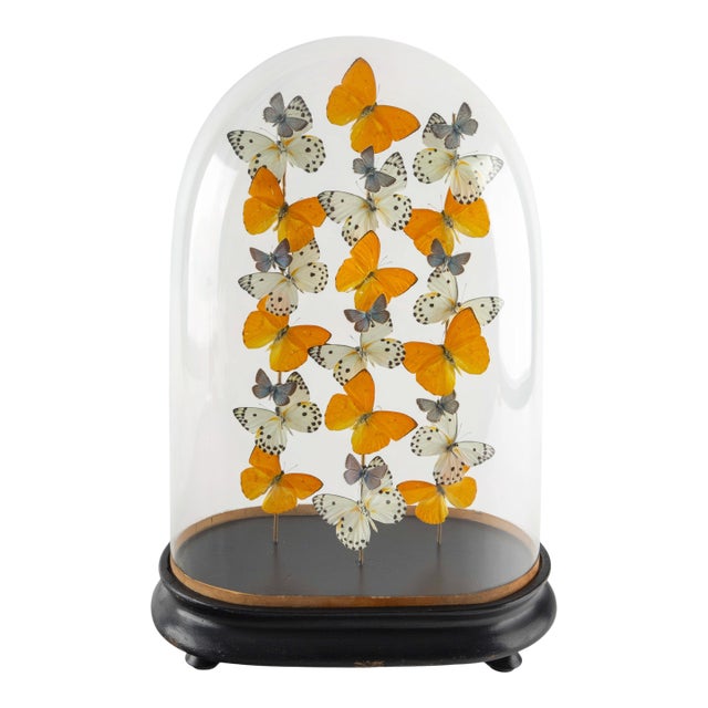 Lemonade by Hasharat Art Deco Butterfly Composition For Sale