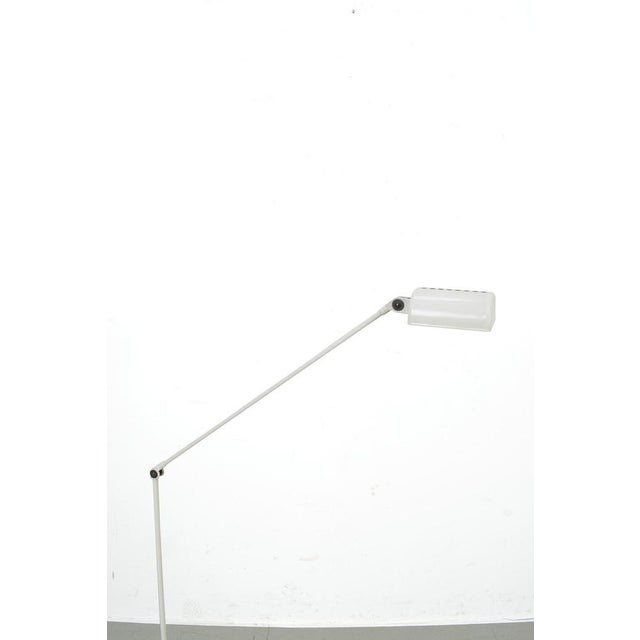 Metal Daphine Terra Floor Lamp from Lumina For Sale - Image 7 of 10