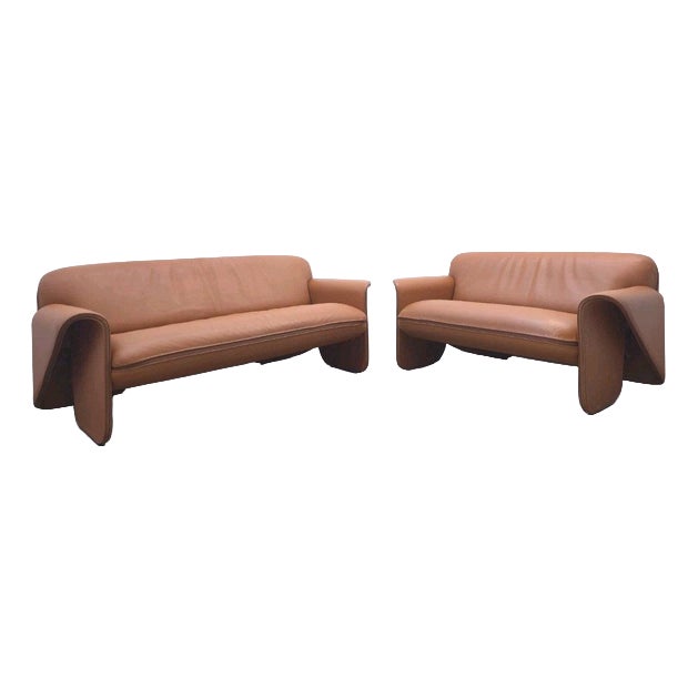 DS-125 3-Seater and 2-Seater Sofa in Brown Leather by Gerd Lange for de Sede, Set of 2 For Sale