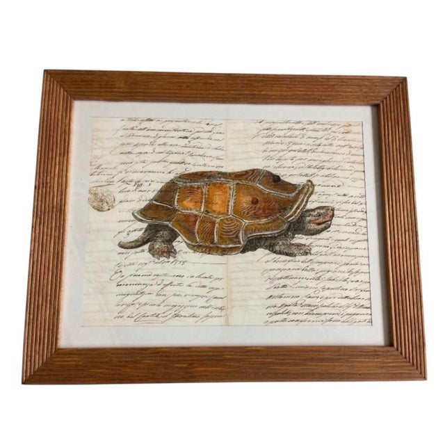 This striking vintage framed print captures the timeless allure of classical 18th- and 19th-century scientific...