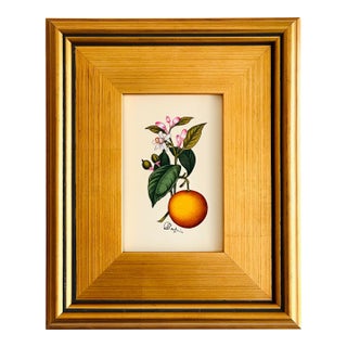 Original Hand-Painted Orange Fruit Painting, Framed For Sale