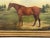 19th Century Oil Painting Portrait Bay Hunter Horse Partisan by James Barenger C1827 Bred by 4th Duke of Grafton For Sale - Image 10 of 13
