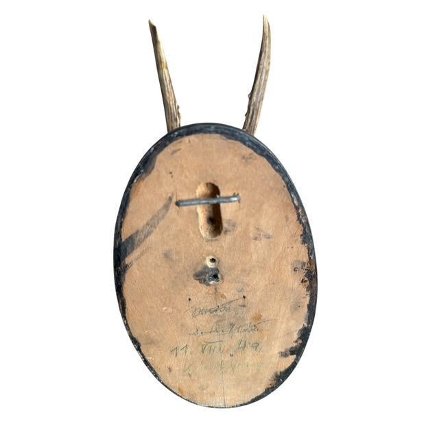 Early 1900s Roe Deer Trophy 178 Black Foerst Antlers For Sale - Image 4 of 5