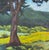 "Tree and Fields, Ft. Lewis, Bath County Va" Contemporary Landscape Oil Painting For Sale