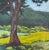 "Tree and Fields, Ft. Lewis, Bath County Va" Contemporary Landscape Oil Painting by Teresa DiMarco For Sale