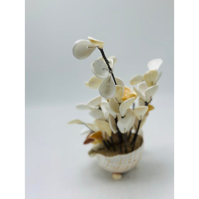 Vintage Shell Art Sculpture For Sale In Charleston - Image 6 of 6