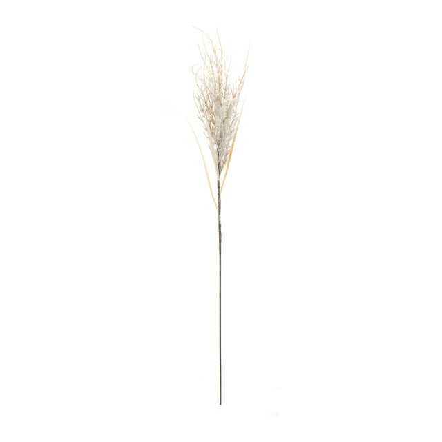 Create a serene winter wonderland with this set of Flocked Snowy Twig Branches. Featuring soft beige tones with a delicate...