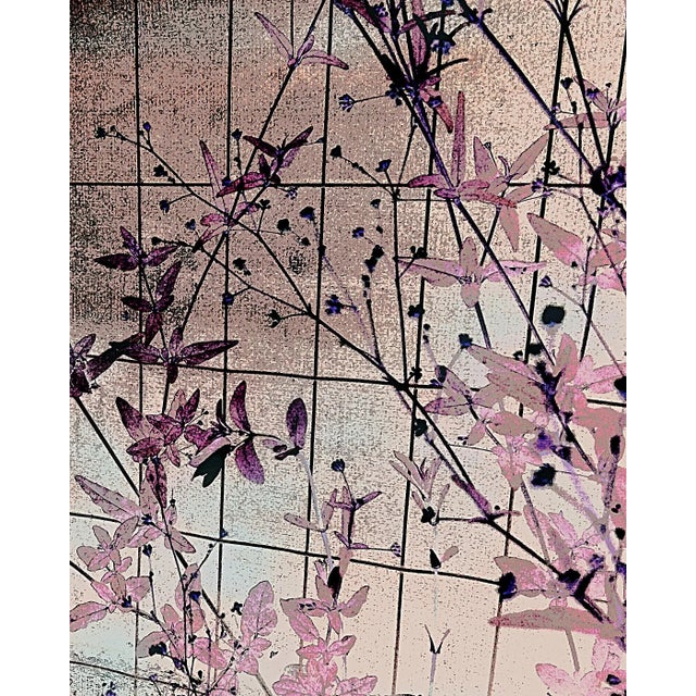 Kyoto - Archival Pigment Print on Fine Art Matte Paper by Reed Hearne For Sale - Image 4 of 4