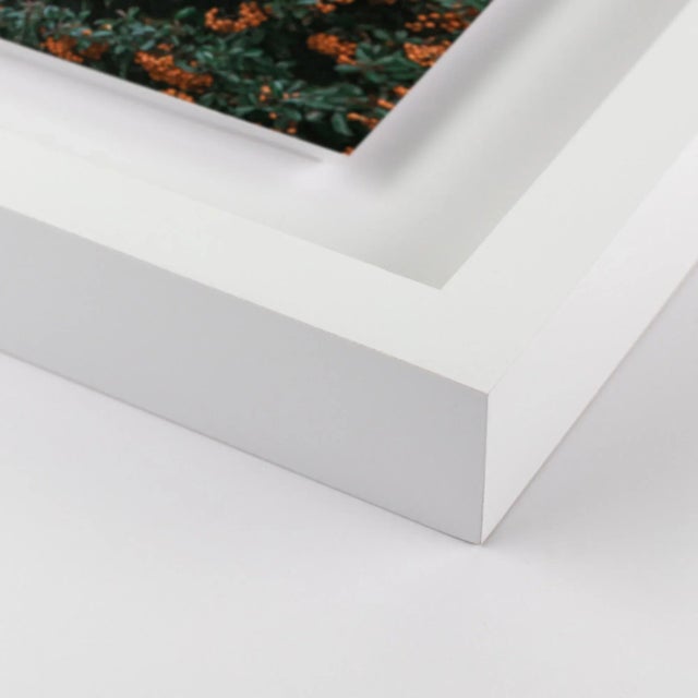 Split Personality by Markus Bex Contemporary Photograph in White Frame Overall Size: 26x36 Frame Color: White