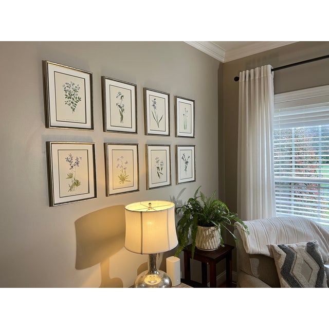 Mid-Century Modern Vintage Botanical Set of 8 Framed - Authentic 1953 Wild Flower Prints For Sale - Image 3 of 5
