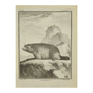 Jean Charles Baquoy, La Marmotte, Etching, 1771 For Sale