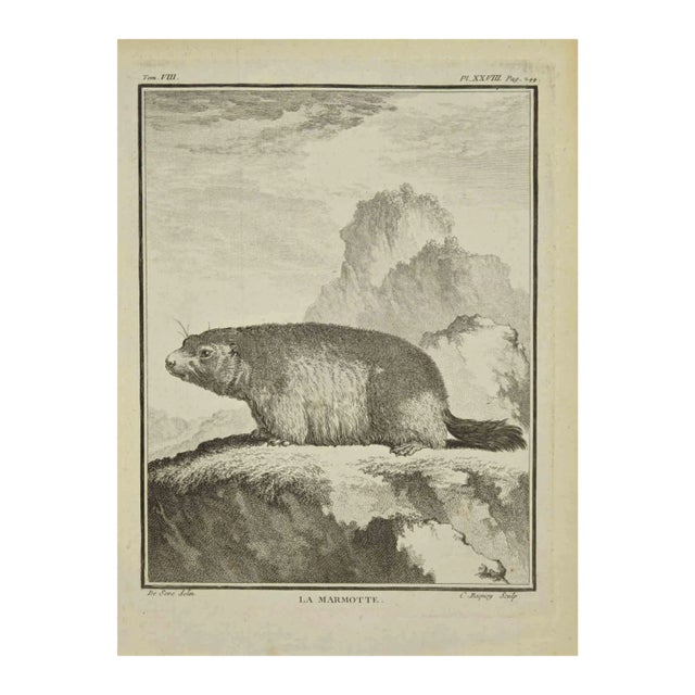 Jean Charles Baquoy, La Marmotte, Etching, 1771 For Sale