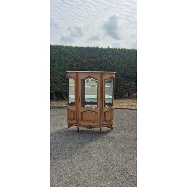 Wood 20th Century Louis XV Curved Cherrywood Display Cabinet, France, 1890s For Sale - Image 7 of 18