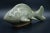 Large koi fish stoneware pottery – signed E.T. Tonala on the bottom. I believe E.T. is the initials of the artist, and...