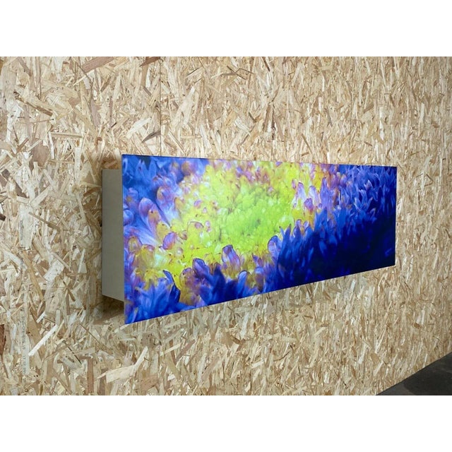 Audire Wall Shelf by Winfried Becker, 2000s For Sale - Image 9 of 13