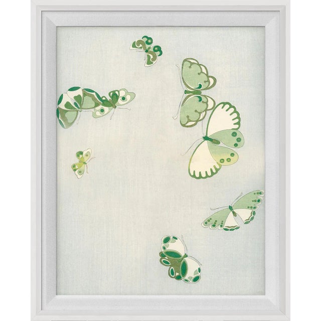 Kono Butterflies 18, Framed Artwork For Sale