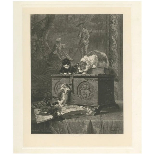 Henriette Ronner, The Young Adventurers: Cats and Kittens, 1894, Print For Sale