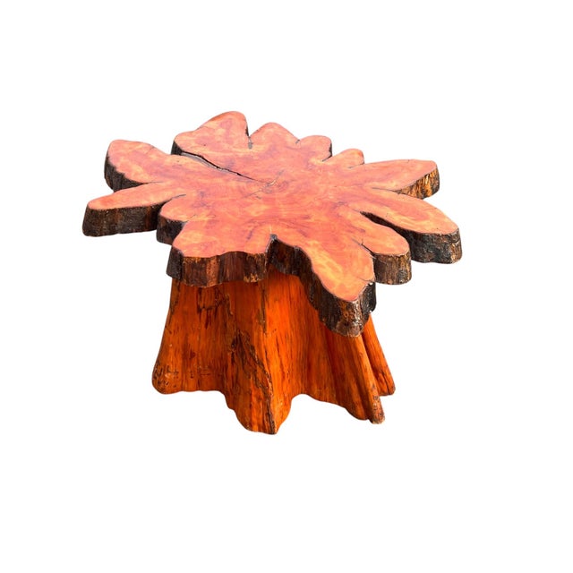 Mid-Century Modern Beautiful Vintage Cypress Live Edge Tree Stump Center Coffee Table For Sale - Image 3 of 15