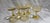 Art Deco Vintage Yellow Depression Glass Champagne Coupes or Sherbet Glasses Set of Five For Sale - Image 3 of 7