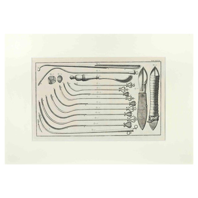 Lorenz Heister, Surgical Instruments, Etching, 1750 For Sale