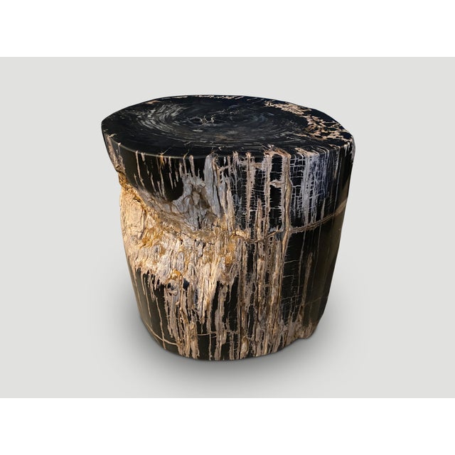 Andrianna Shamaris Ancient Sculptural Petrified Wood Side Table For Sale - Image 11 of 18