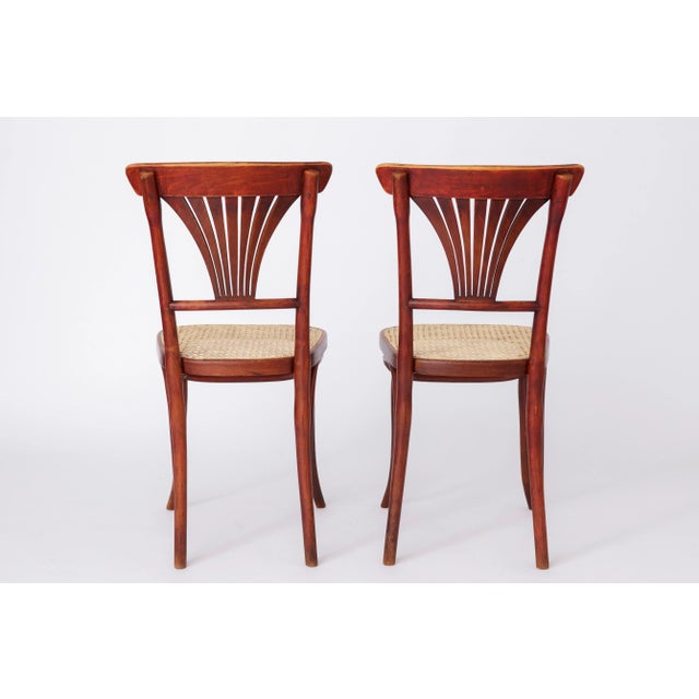 Beige Viennese Café Chairs, Set of 4 For Sale - Image 8 of 18