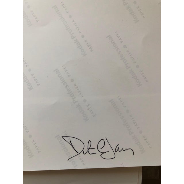 2000 - 2009 Peter C. Jones 1, Woman in Bathrobe Large Format Flower Photo 24X20 Color Photograph Beach House, 2001 For Sale - Image 5 of 6