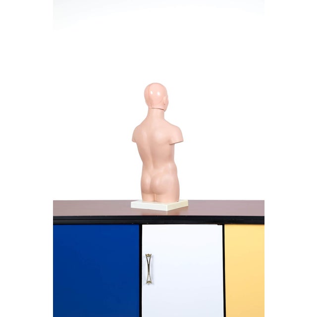 Beige Vintage Anatomical Torso Model For Sale - Image 8 of 9
