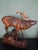 Wood Antique Black Forest Glass and Carved Wood Sculpture of a Roaring Stag, 1950s For Sale - Image 7 of 10